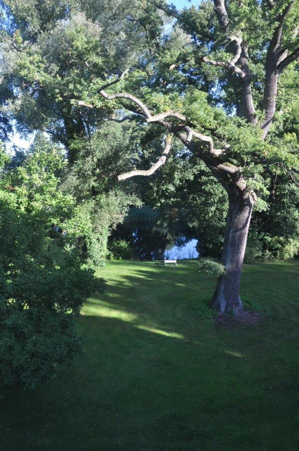 Gartenzimmer Im Schloss Neuhausen Neuhausen  Экстерьер фото