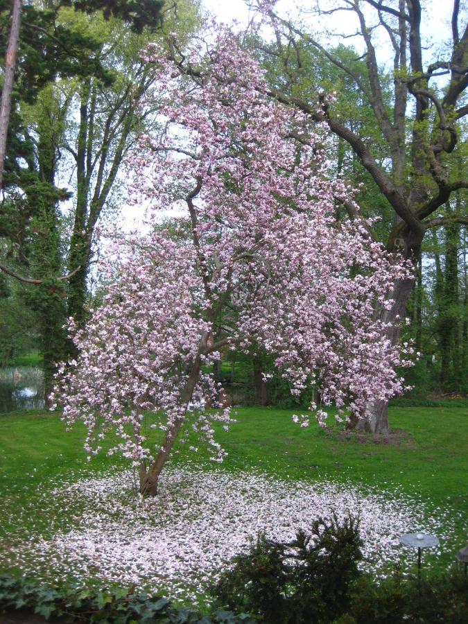 Gartenzimmer Im Schloss Neuhausen Neuhausen  Экстерьер фото